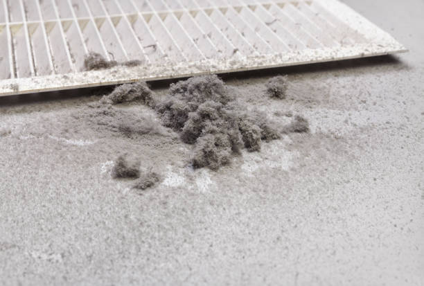 Best Affordable Air Duct Cleaning  in Natalia, TX